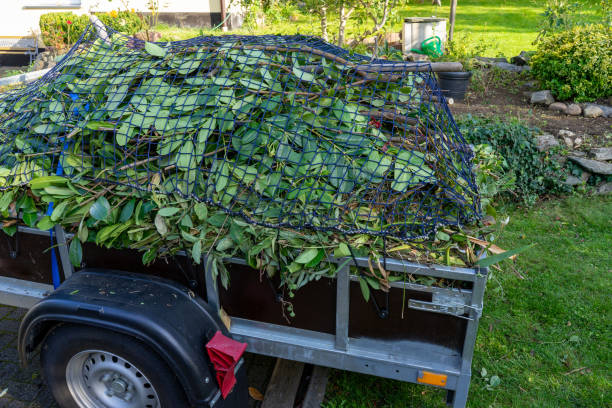 Best Hoarding Cleanup  in Gainesboro, TN